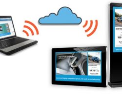 Content Management Licenses